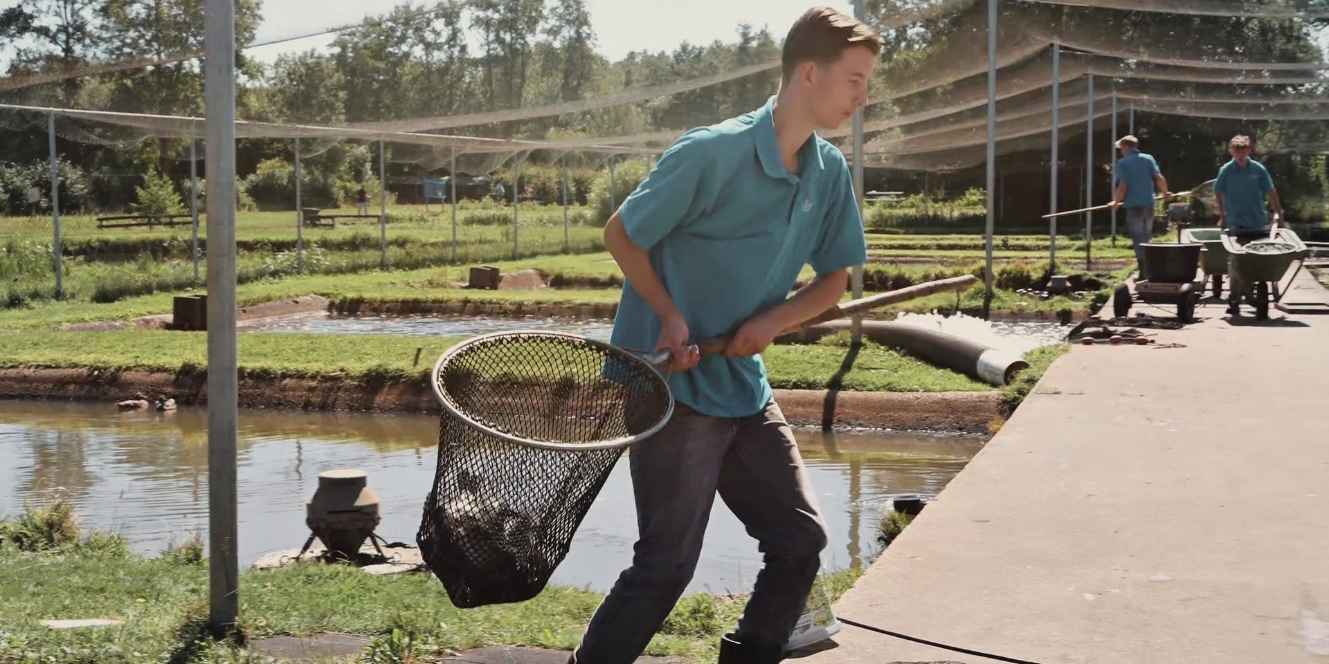 Netting trout at the farm